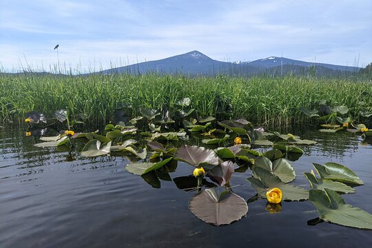 Tour image 2